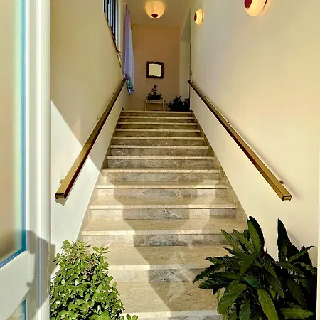 Guest house Vivi Con 