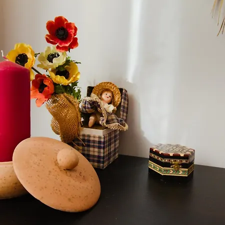 Guest house Vivi Con 